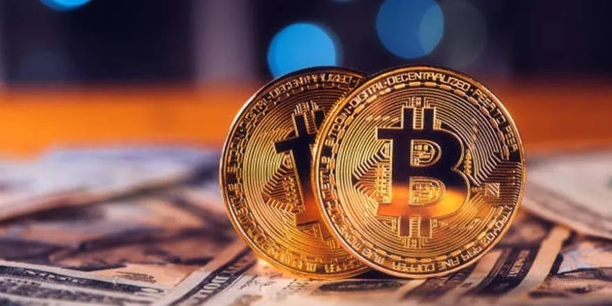TaxelioX - Eğitim Maceranıza BaşlayınEşsiz Koruma TaxelioX Kriptografik Teknikleriyle